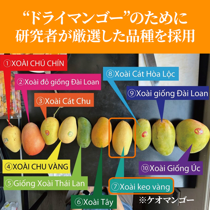 ドライマンゴーのために研究者が厳選した品種を採用
